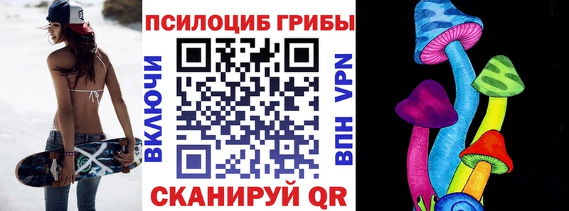 kraken зеркало  Болгар  Псилоцибиновые грибы прущие грибы 